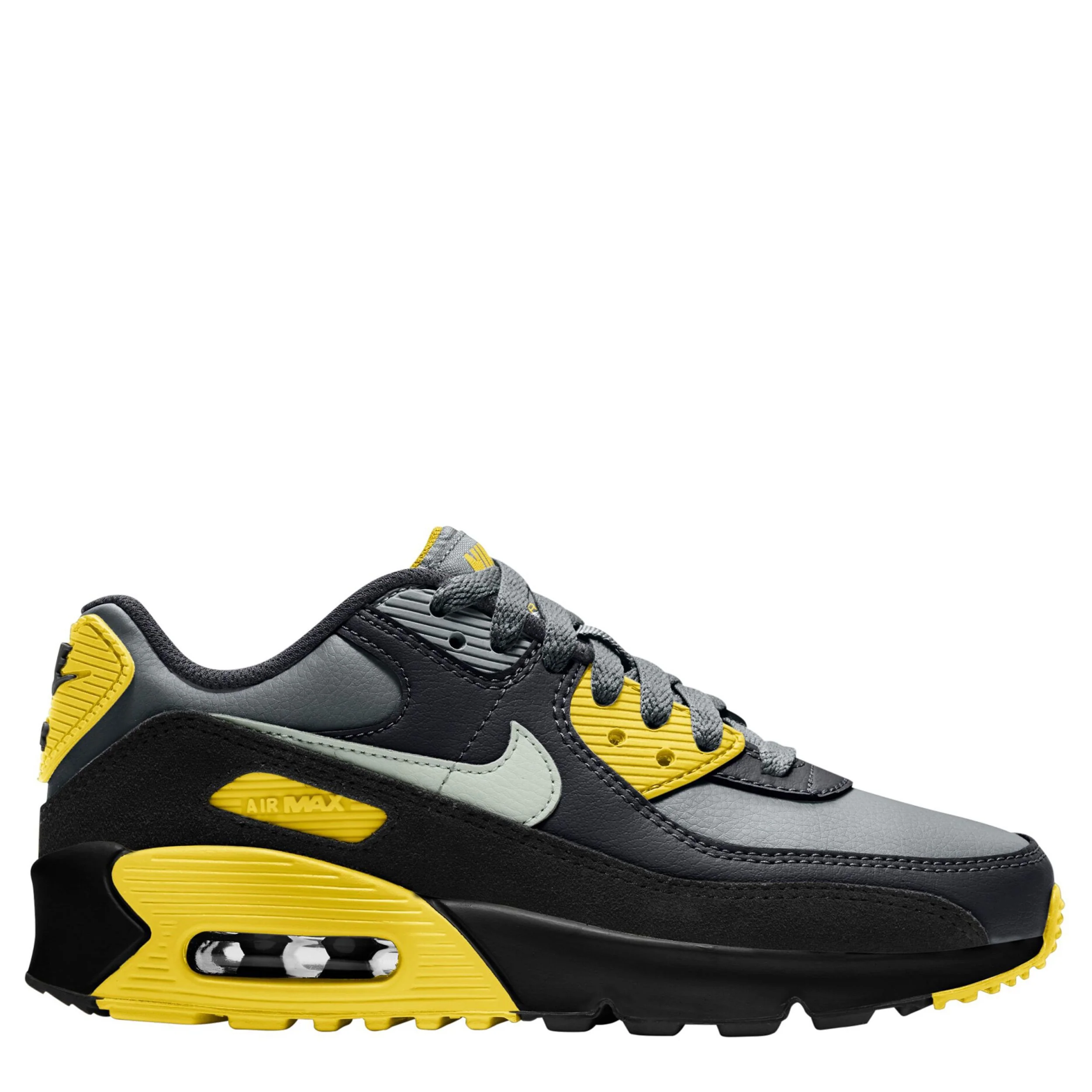 Air Max 90 (Big Kid)