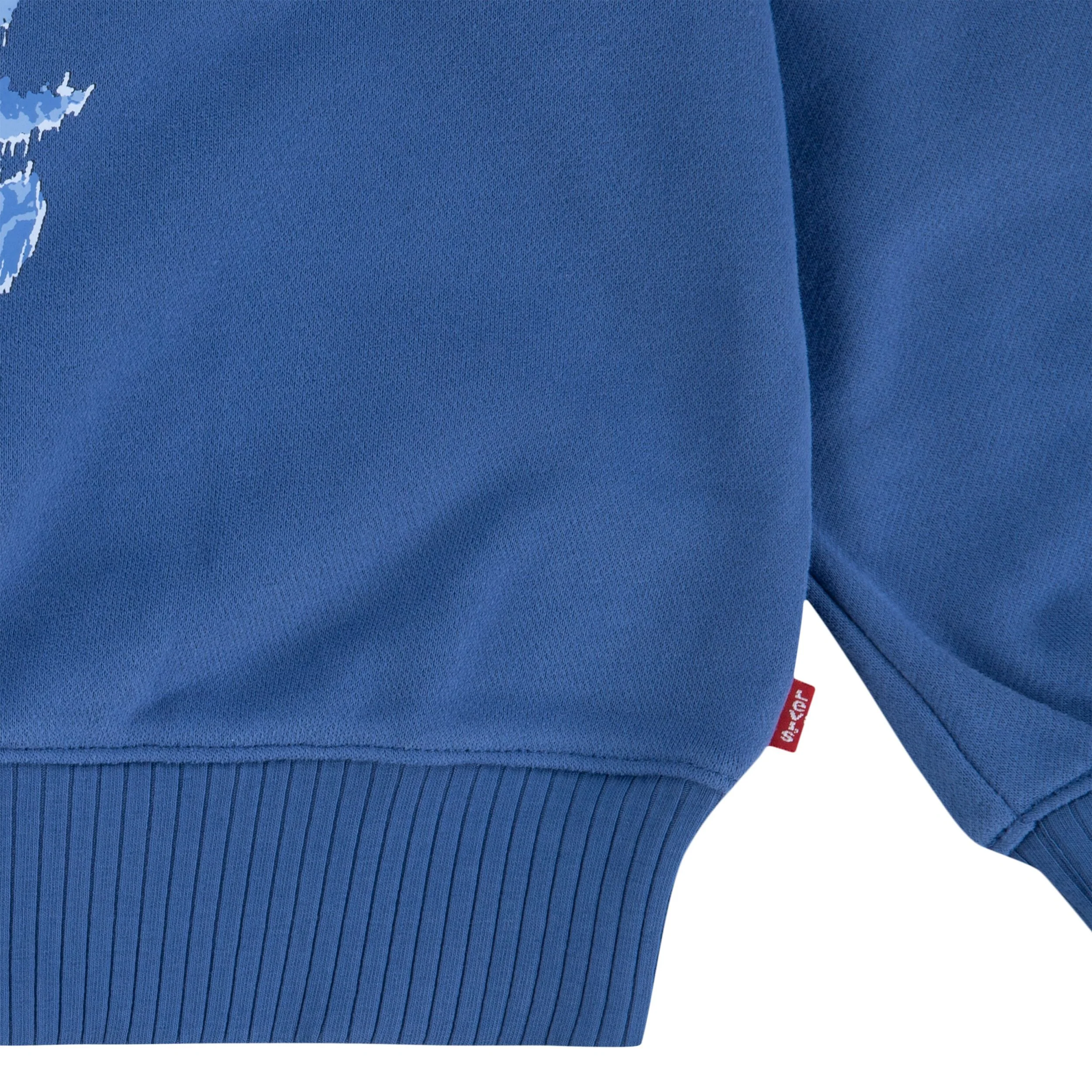 Coastal Collegiate Crewneck Sweatshirt (Big Kid) - Image 4