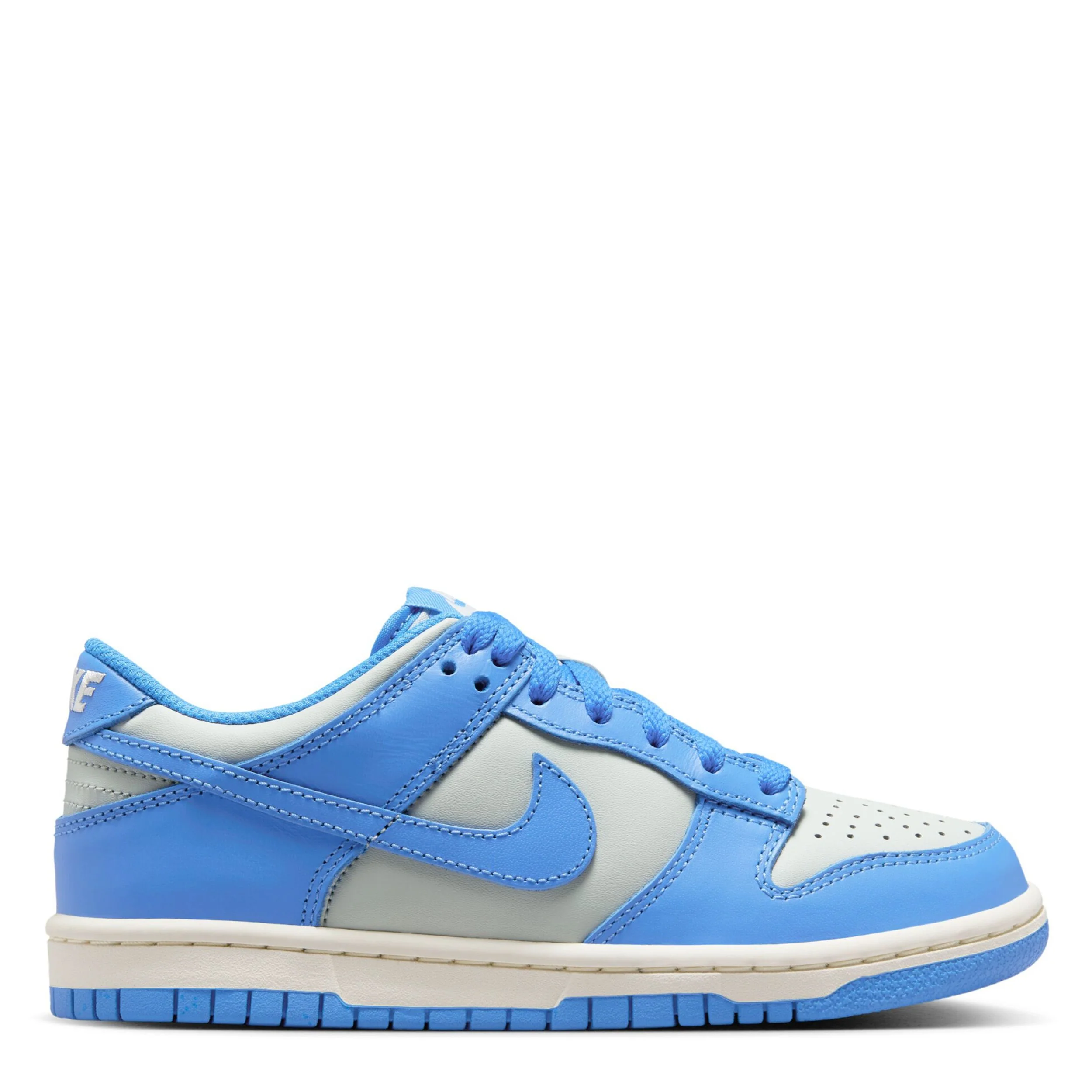 Dunk Low (Big Kid)