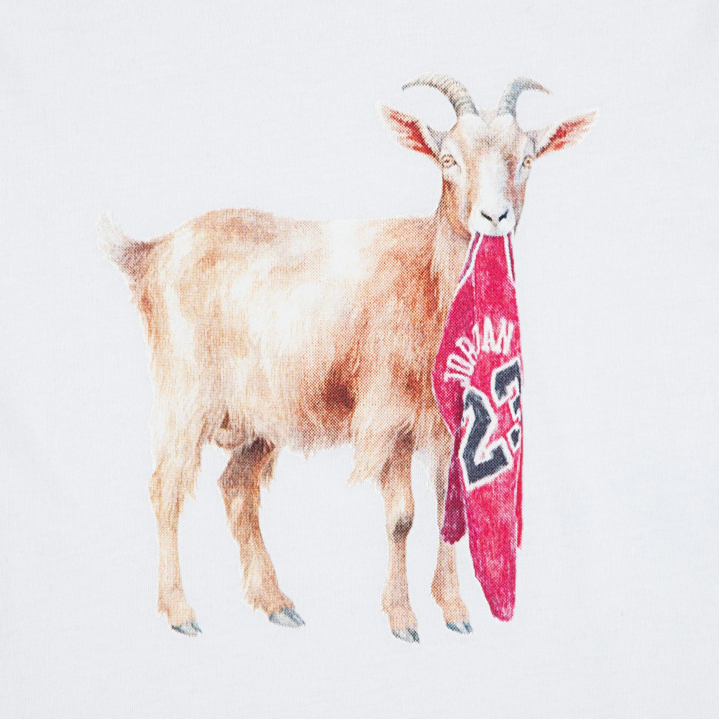Flight Goat Tee (Big Kid) - Image 3