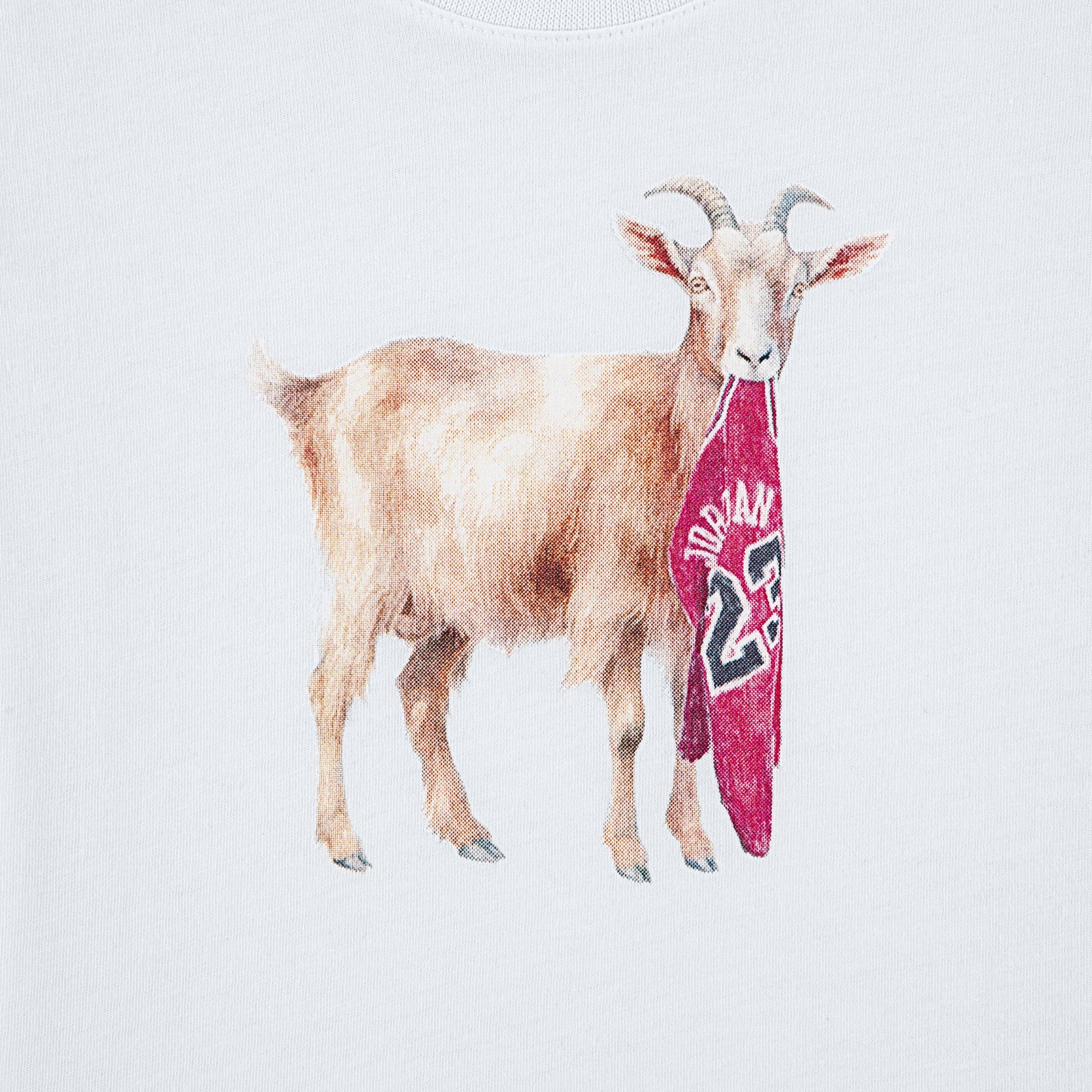 Flight Goat Tee (Little Kid) - Image 3