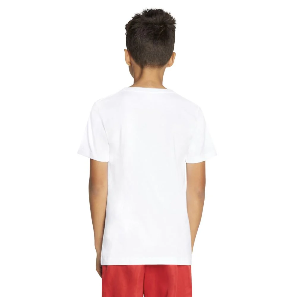 Jumpman Air Embroidered Tee (Big Kid) - Image 5