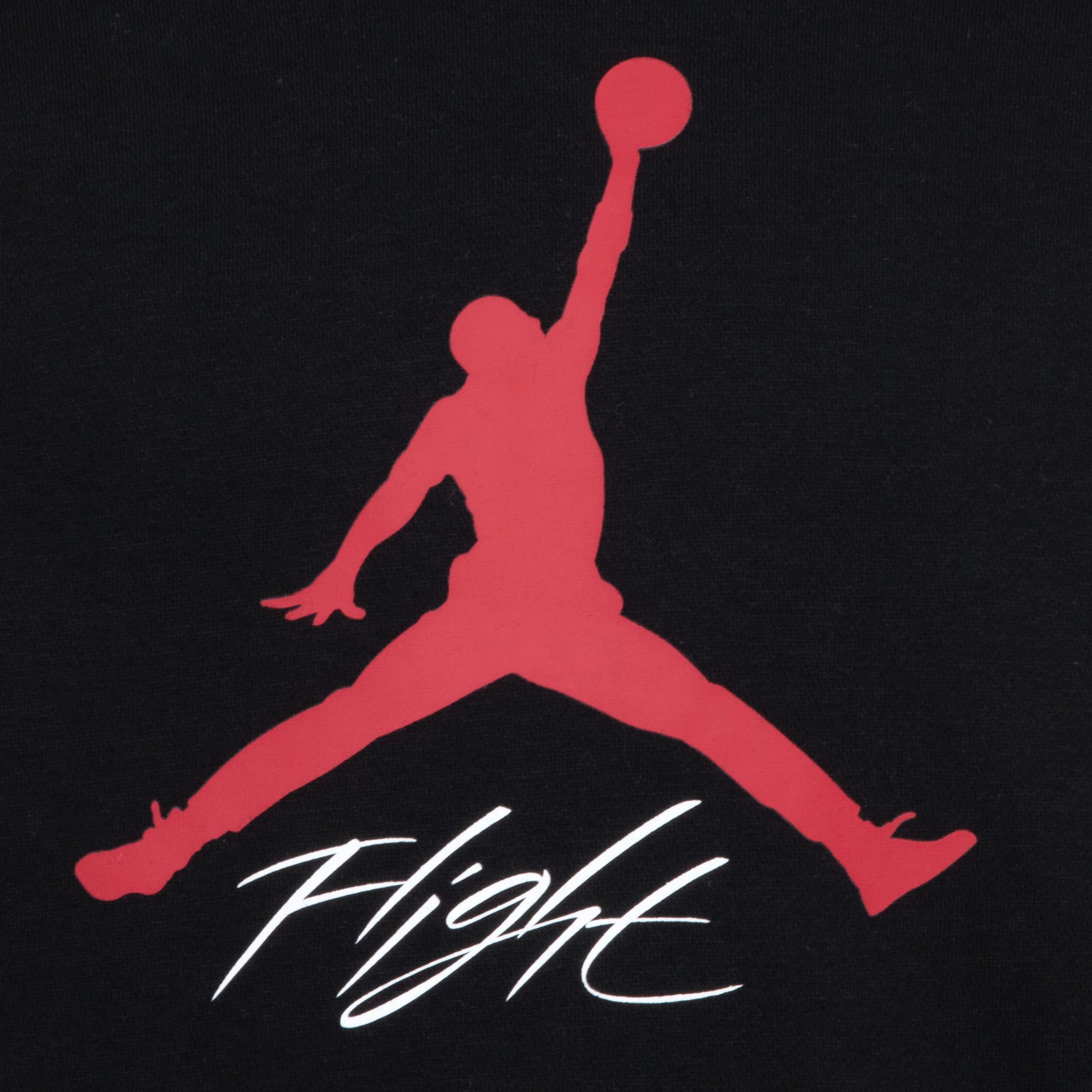 Jumpman Baseline Pullover (Big Kid) - Image 3