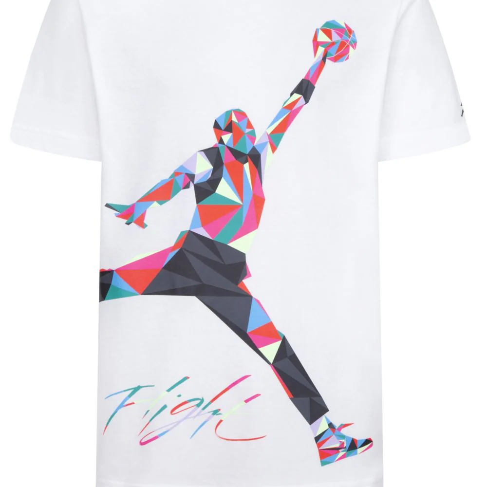 Jumpman Heirloom Tee (Big Kid) - Image 4