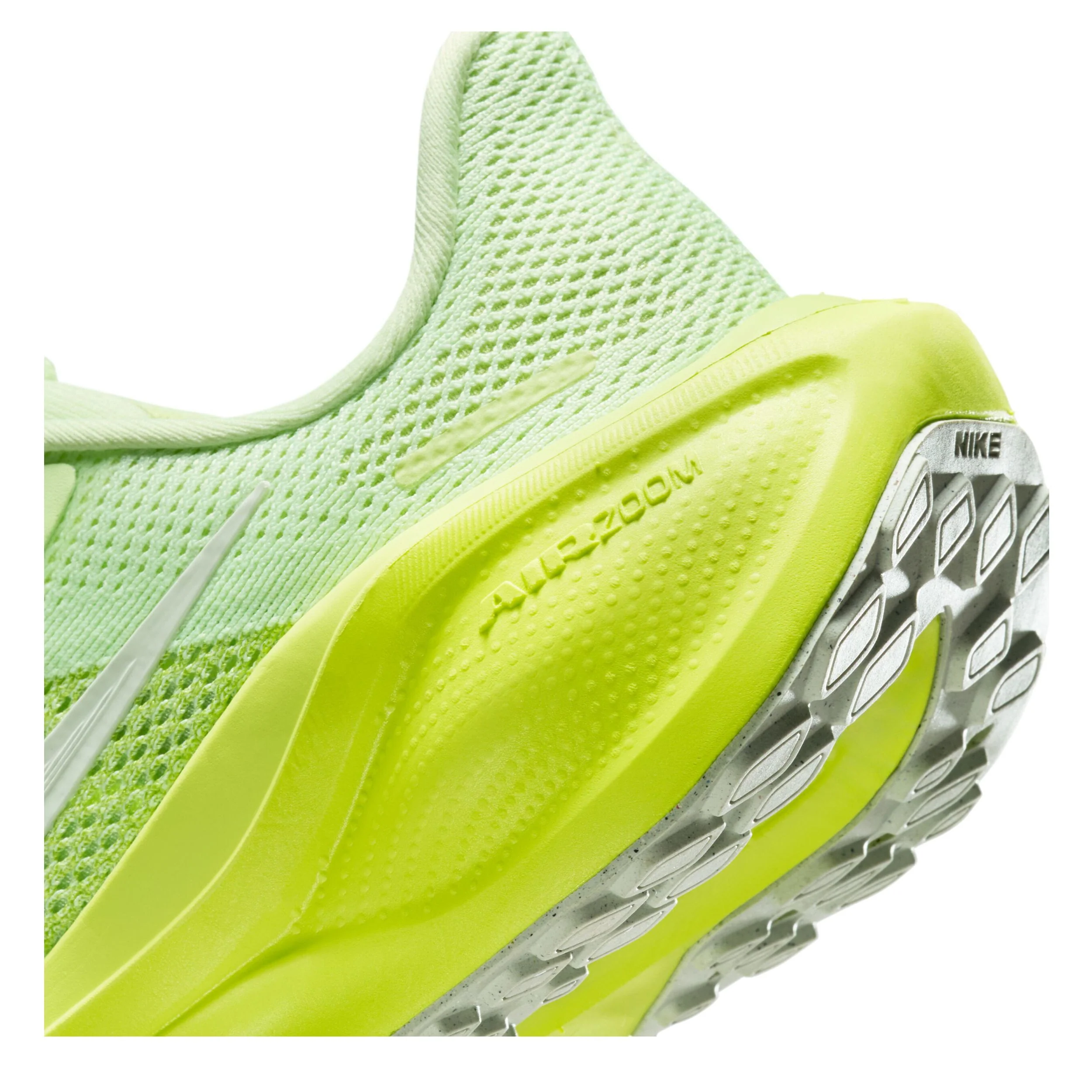Pegasus 41 (Big Kid) - Image 11