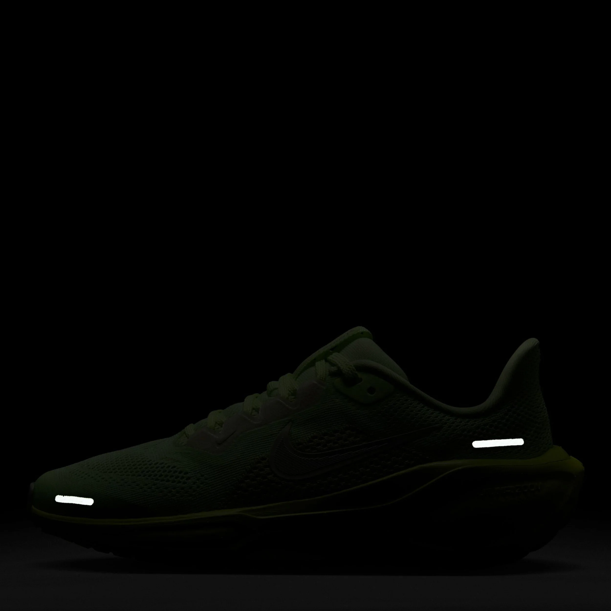 Pegasus 41 (Big Kid) - Image 3