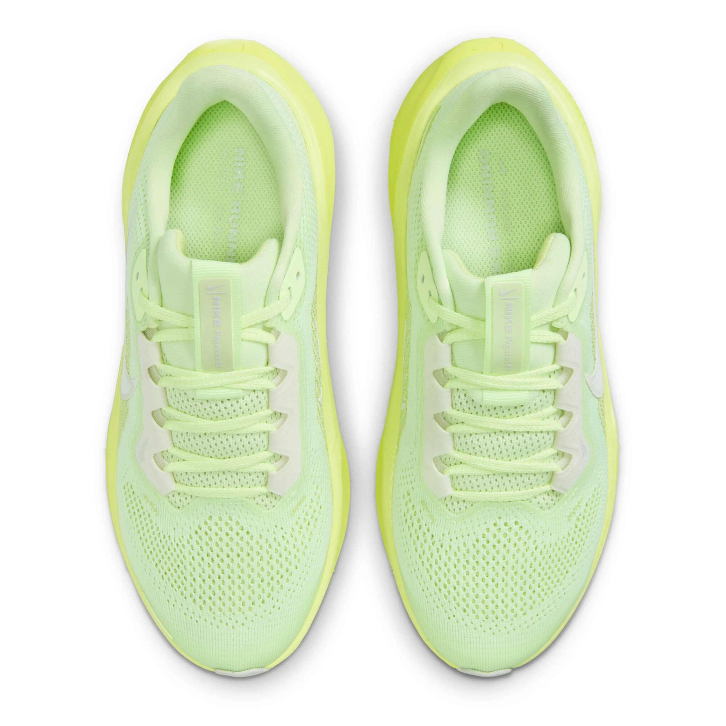 Pegasus 41 (Big Kid) - Image 7