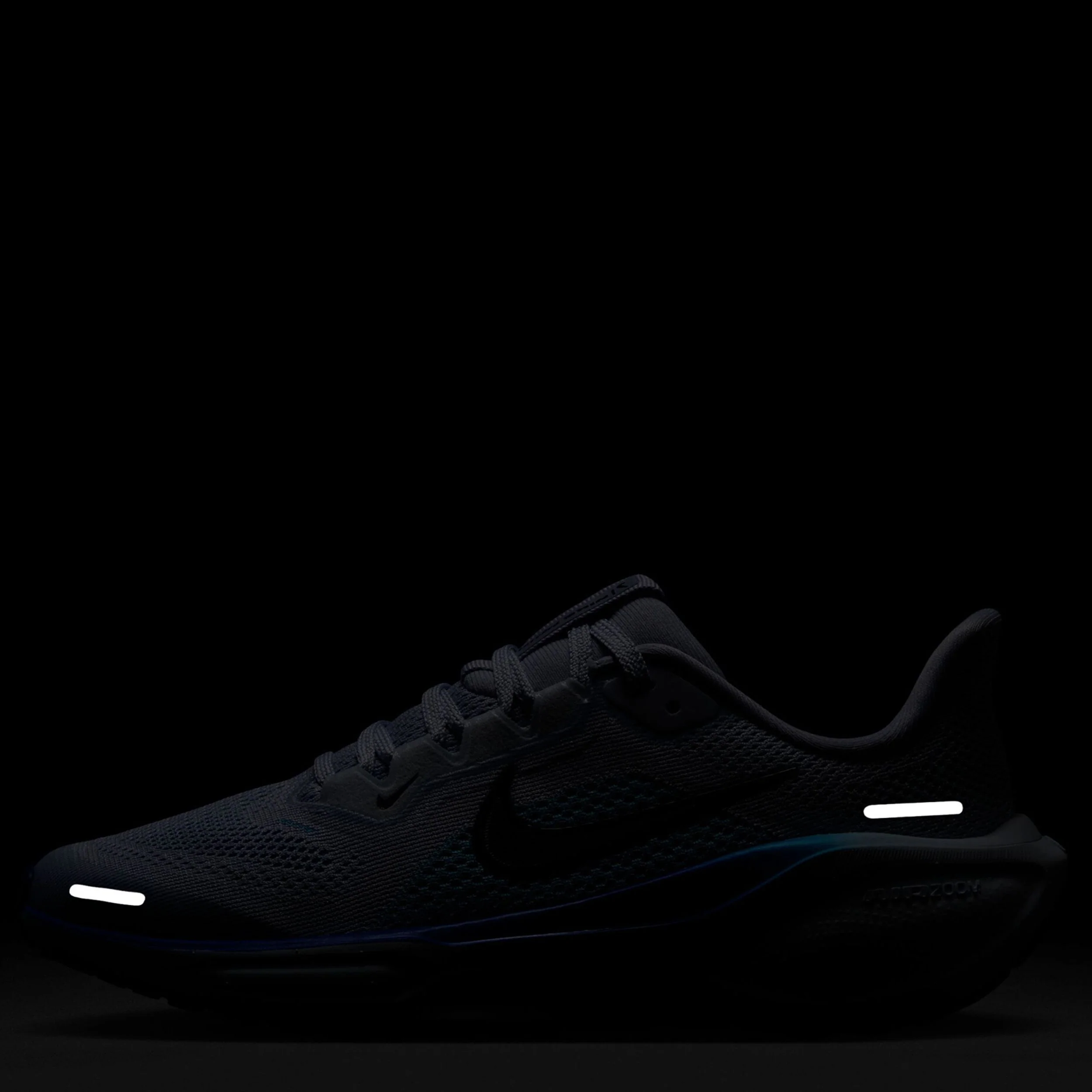 Pegasus 41 (Big Kid) - Image 3