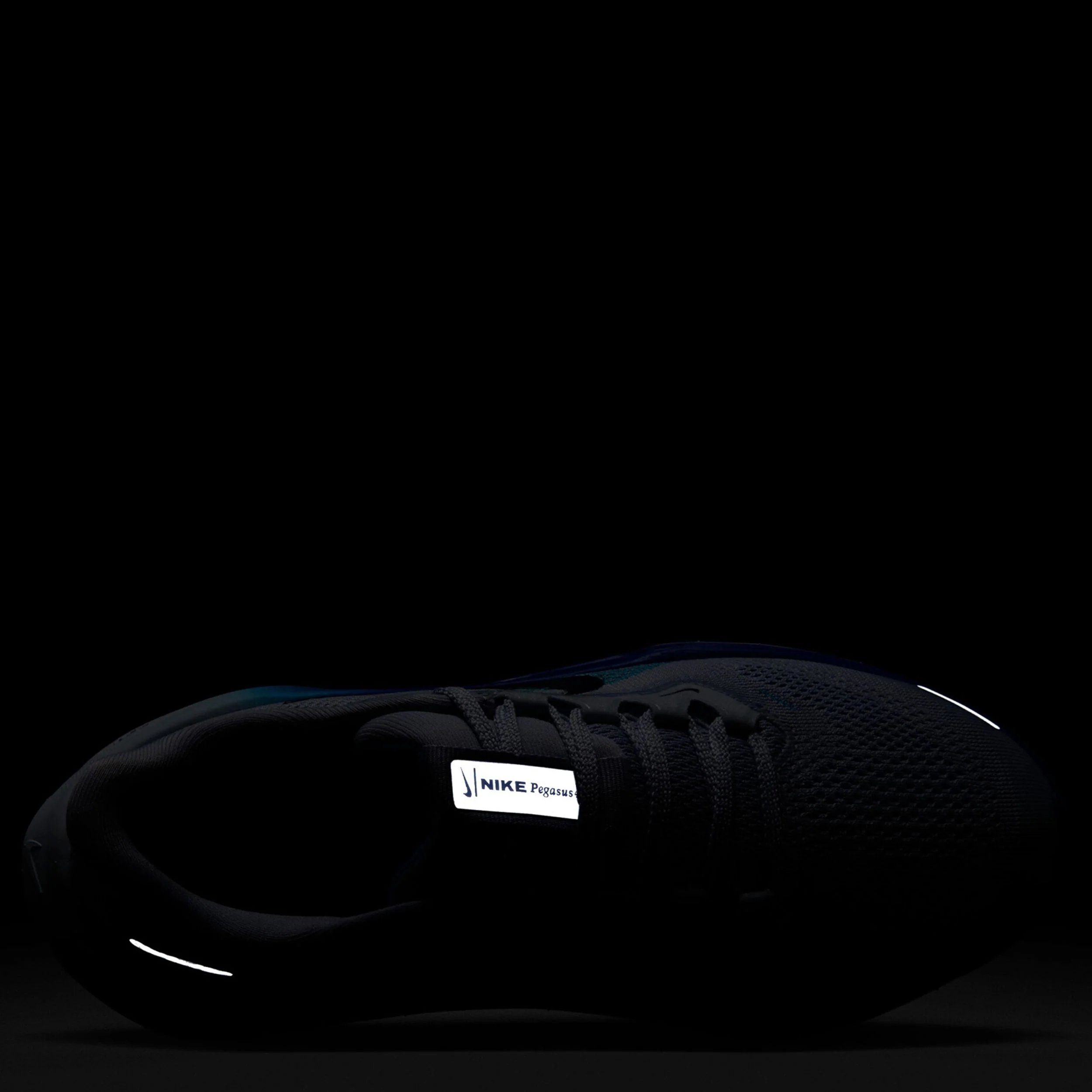 Pegasus 41 (Big Kid) - Image 8