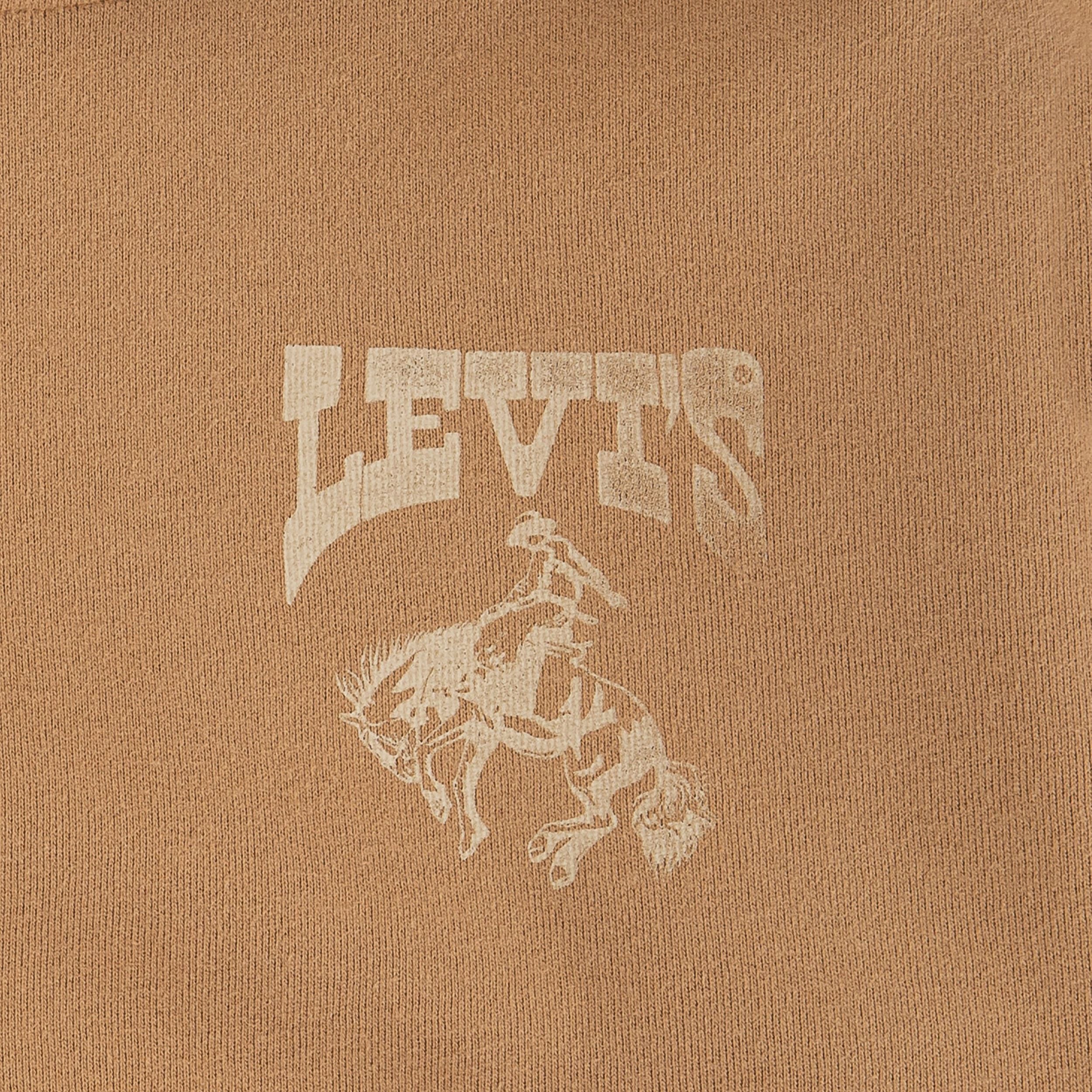 Rodeo Ready Hoodie (Big Kid) - Image 3