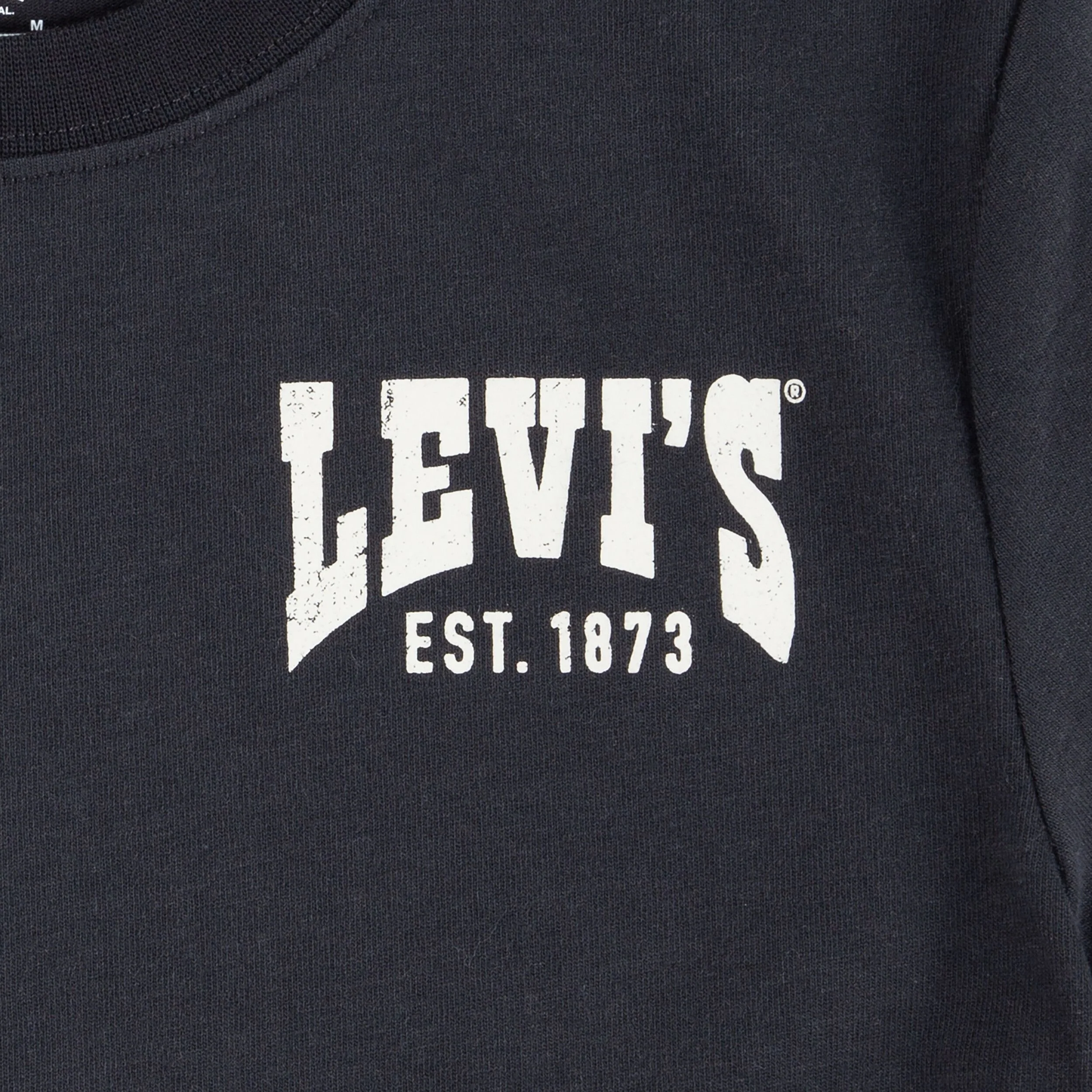 Valley View Tee (Big Kid) - Image 3
