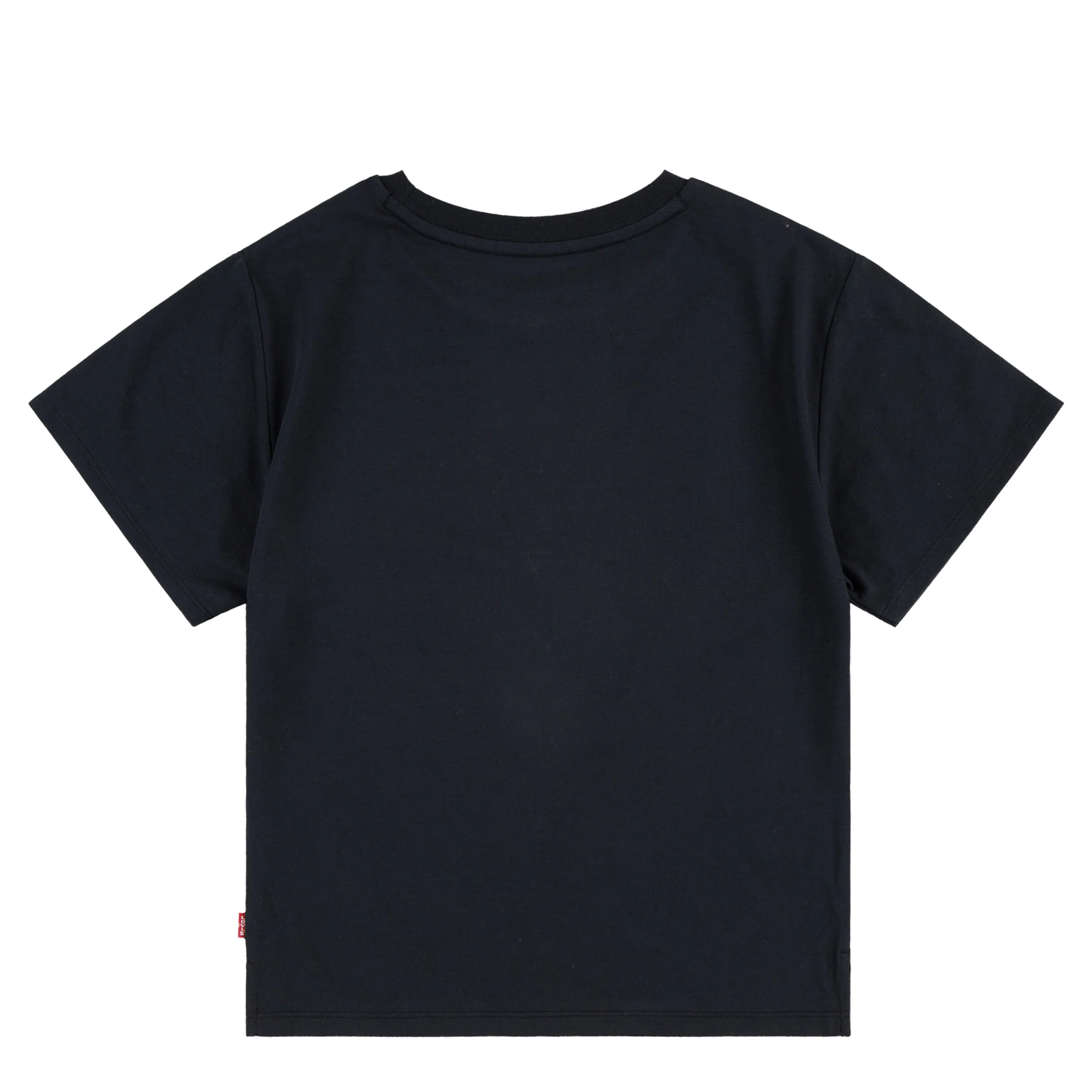 Western Roses Oversized Tee (Little Kid) - Image 2