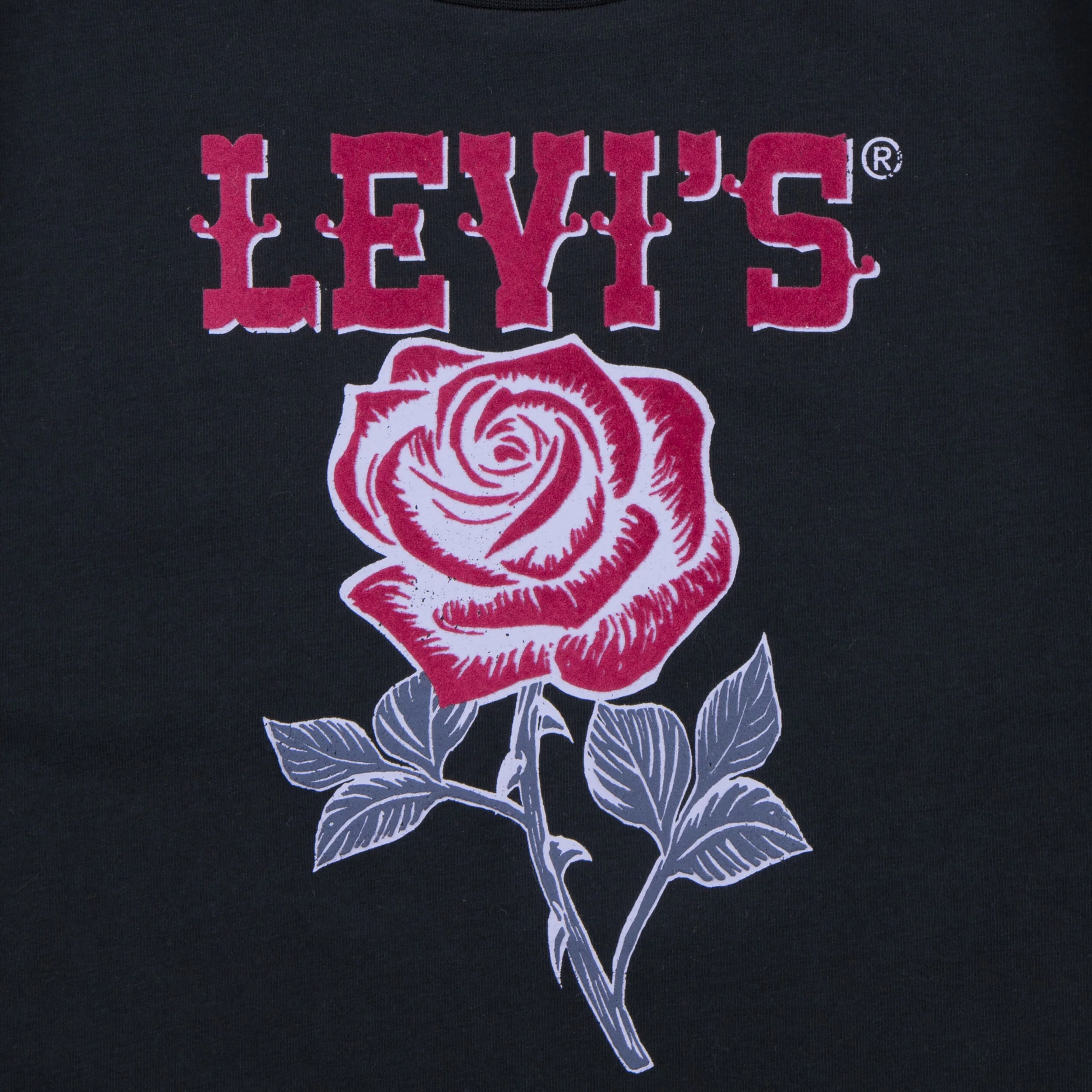 Western Roses Oversized Tee (Little Kid) - Image 3